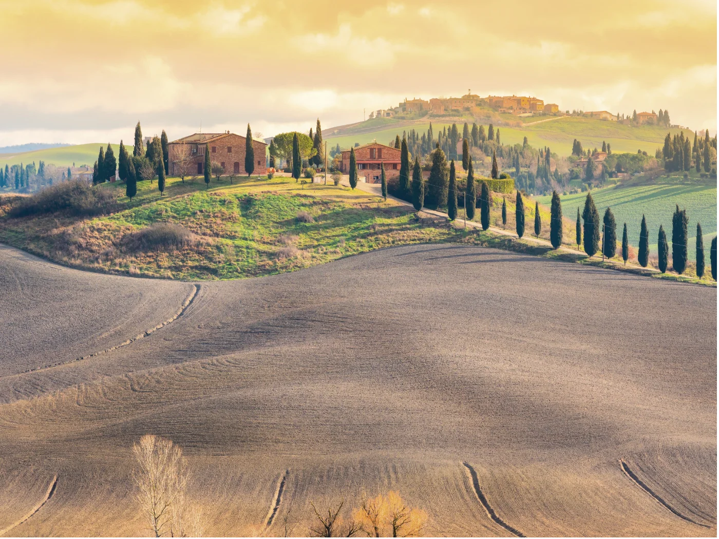paesaggio toscano con crete senesi